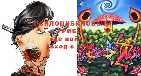 стаф Гвардейск