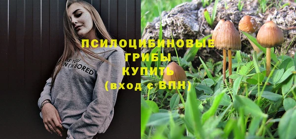 стаф Переславль-Залесский