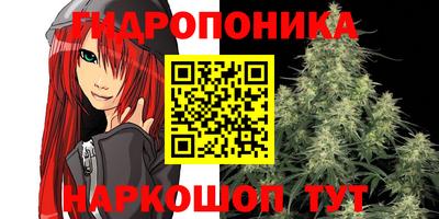 ПСИЛОЦИБИНОВЫЕ ГРИБЫ Апшеронск